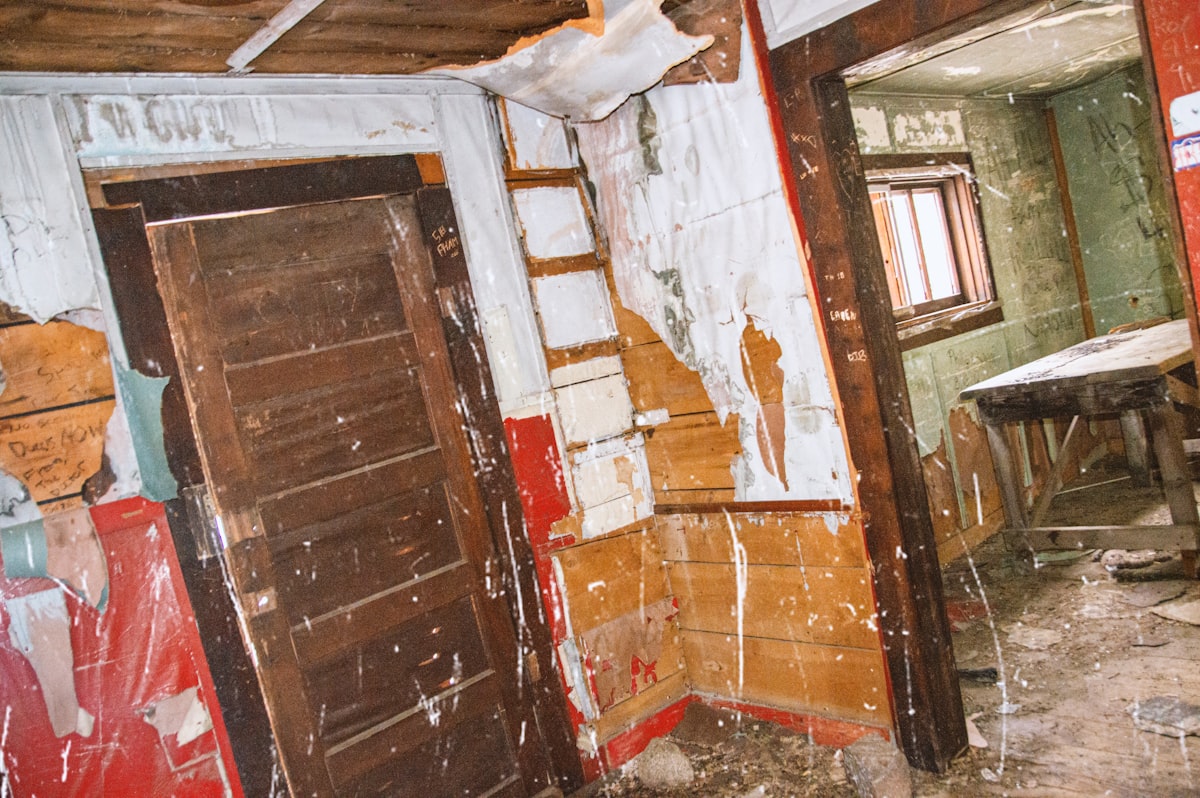 Mold Remediation service in Avondale, AZ