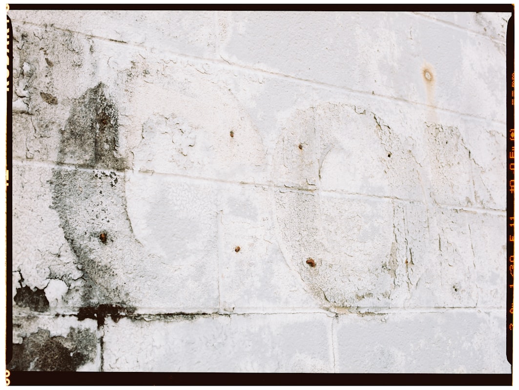 Sewage Cleanup service in Avondale, AZ