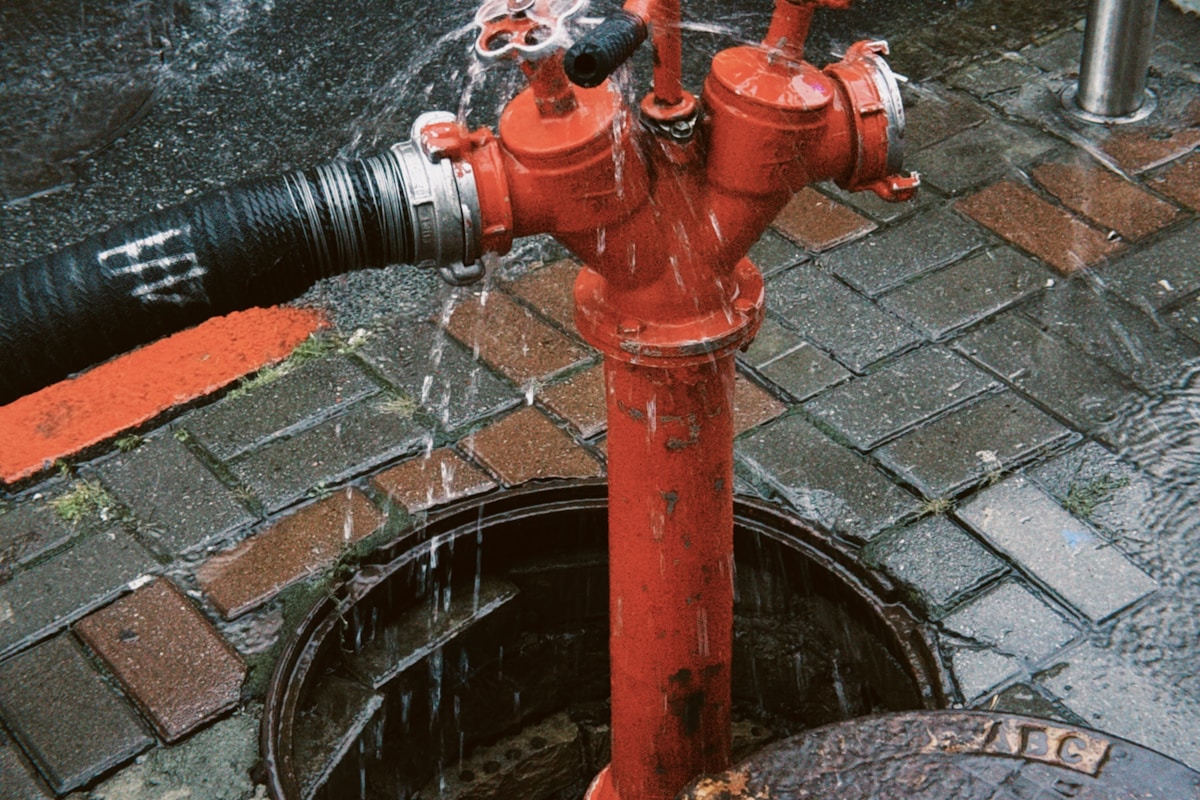 Storm Damage Repair service in Avondale, AZ